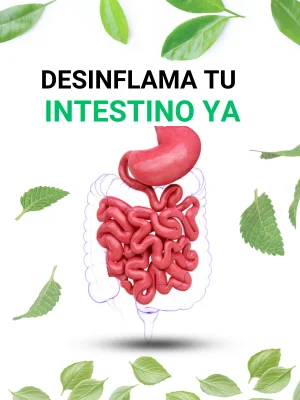 COMO DESINFLAMAR (3)