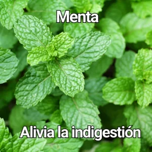 jarabe de cebolla y miel (13)