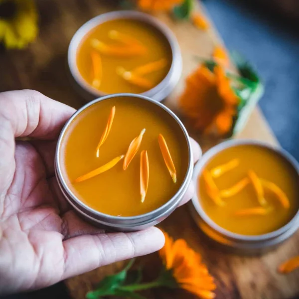 Título primario (61)