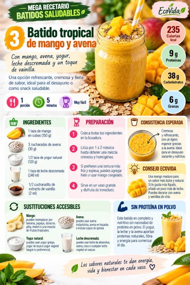 Ficha interior del recetario de batidos saludables