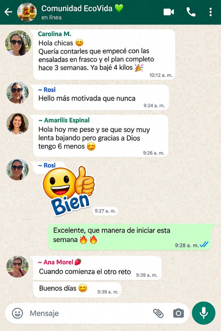 Experiencia compartida sobre alimentación y organización