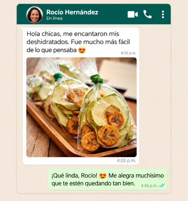 Recreación ilustrativa de snacks deshidratados en bolsas