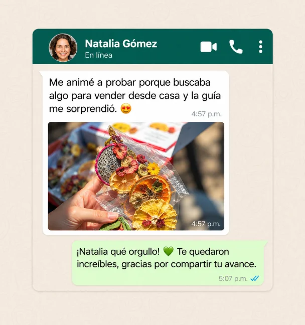 Recreación ilustrativa de un mix de frutas deshidratadas
