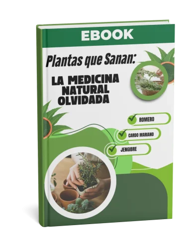 LIBRO HIERBAS